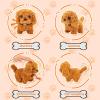 image:imageTagitary Plush Toys Puppy and Bunny Electronic Toys for Kids